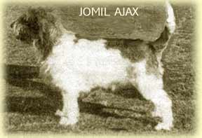 Ajax